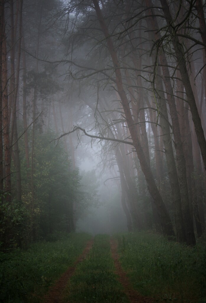 Wielkopolski Park Narodowy