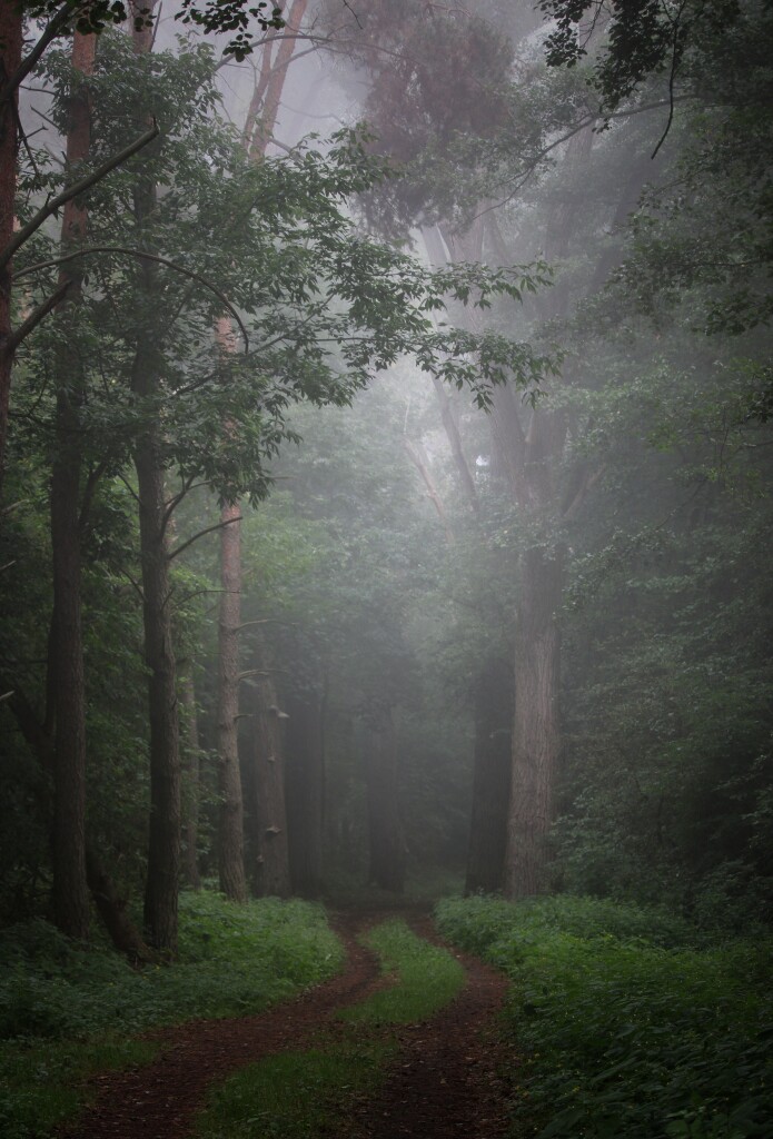 Wielkopolski Park Narodowy